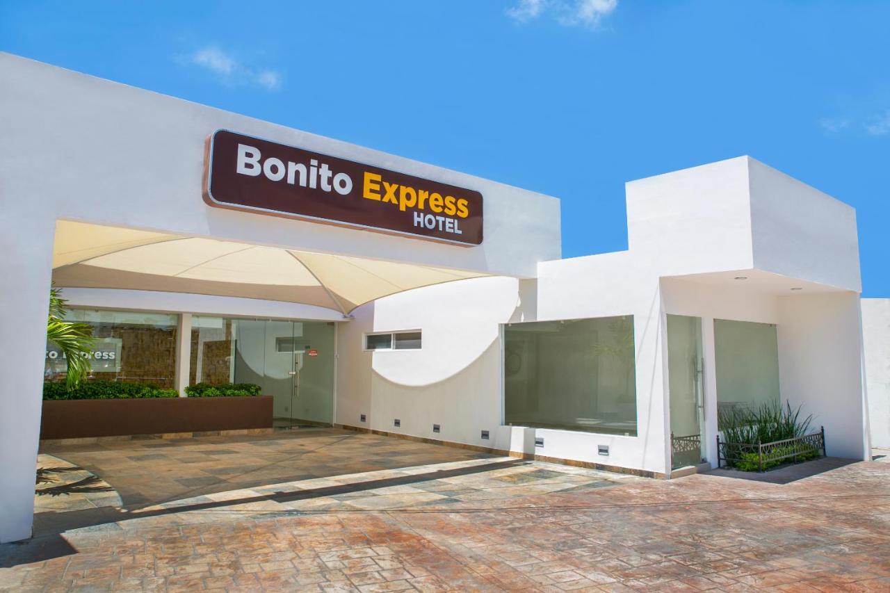 Biza Express Ciudad Valles